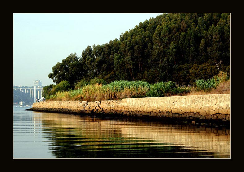 photo "the other face" tags: landscape, forest, water