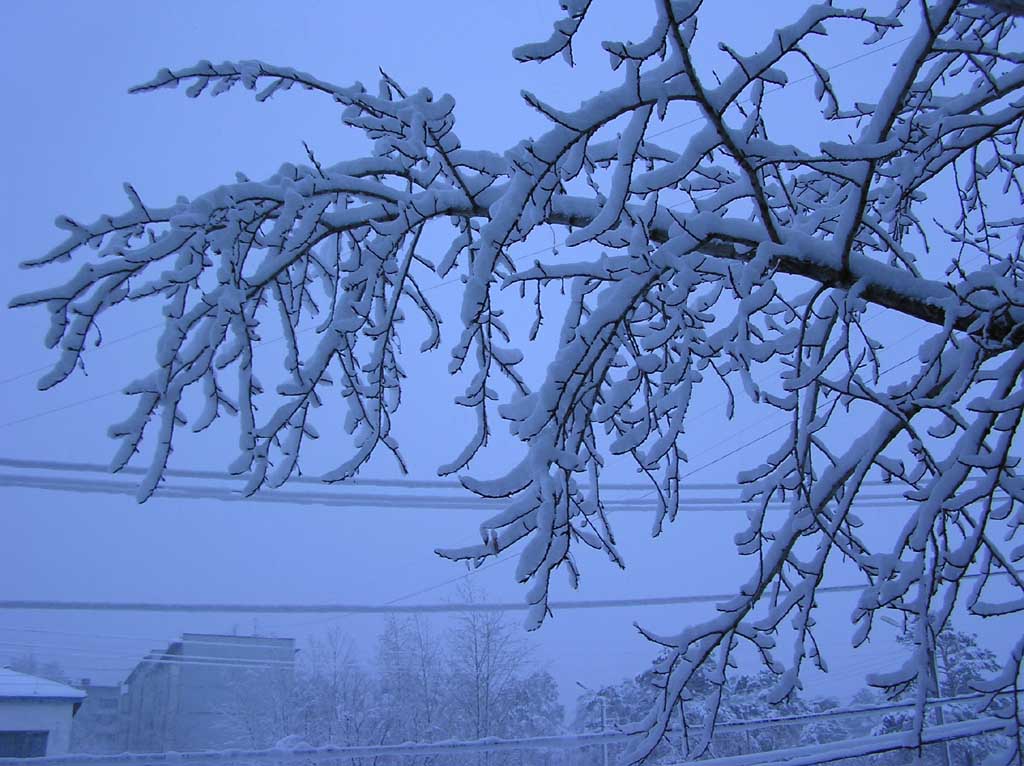 фото "Утро" метки: пейзаж, зима