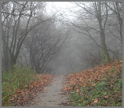 photo "Road into the mist" tags: landscape, nature, forest