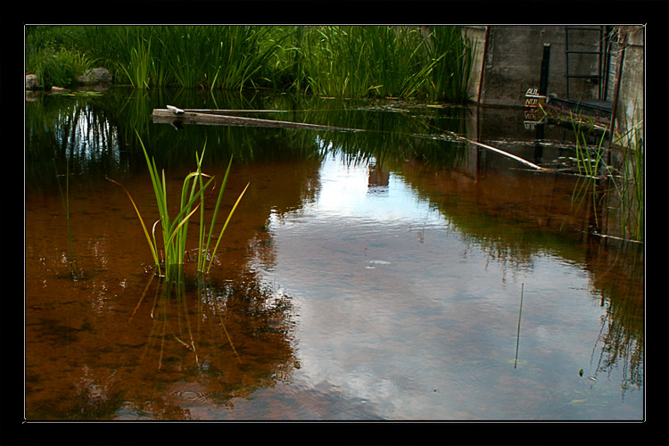 photo "Old dam" tags: landscape, water