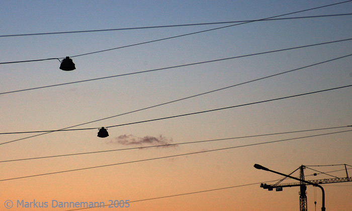 photo "Wire" tags: misc., 