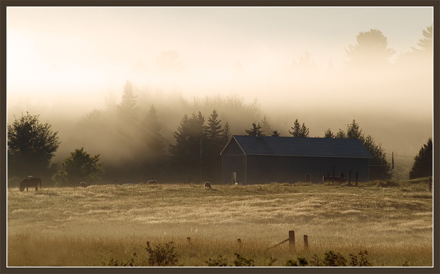 photo "The Last Morning of July" tags: landscape, summer, sunset