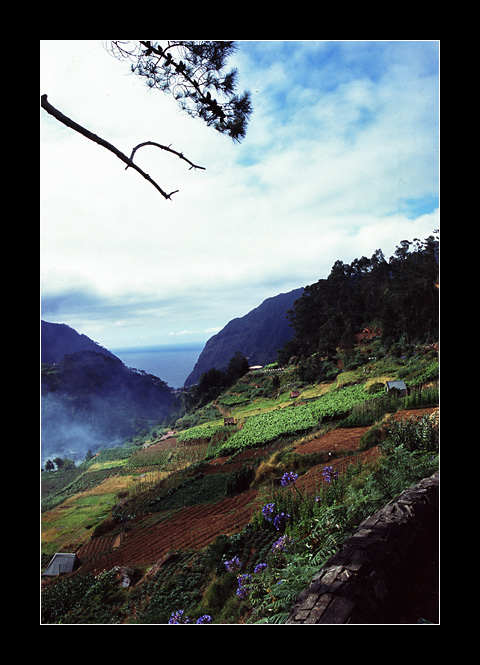 photo "Madeirian Landscape" tags: landscape, mountains, summer