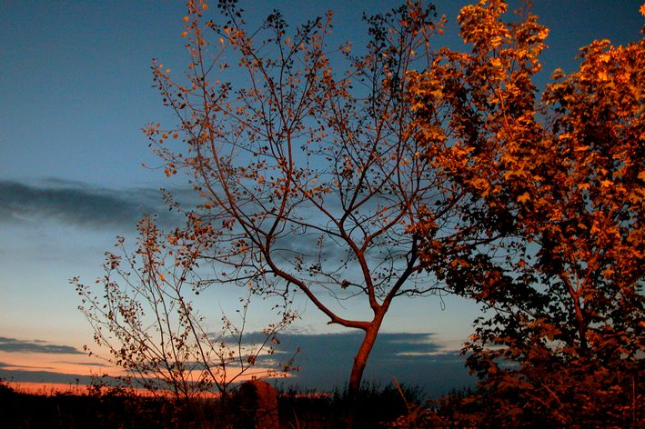 фото "Evening in Poland" метки: пейзаж, путешествия, Европа, закат