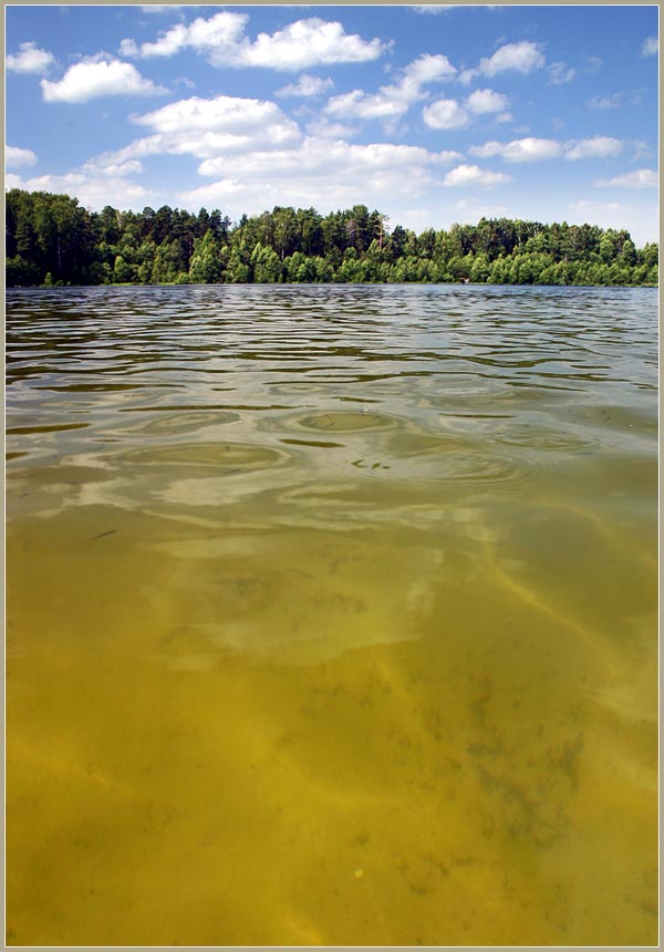 фото "Чистая вода" метки: пейзаж, вода, лето