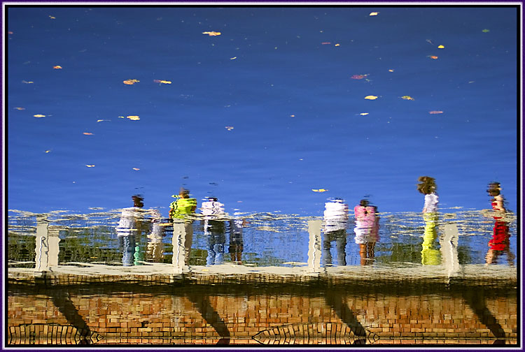 photo "Sky full of leaves" tags: landscape, genre, water