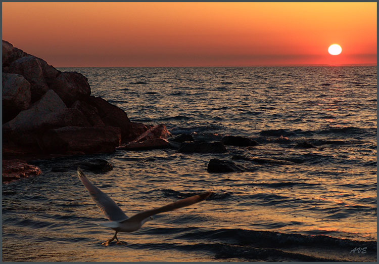 фото "wasted sunrise...." метки: пейзаж, вода, закат