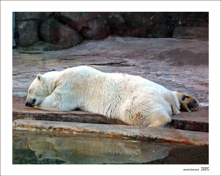 photo "Horizontal position" tags: misc., nature, wild animals