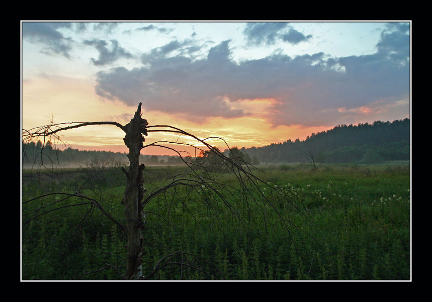 photo "Silvan" tags: landscape, forest, sunset