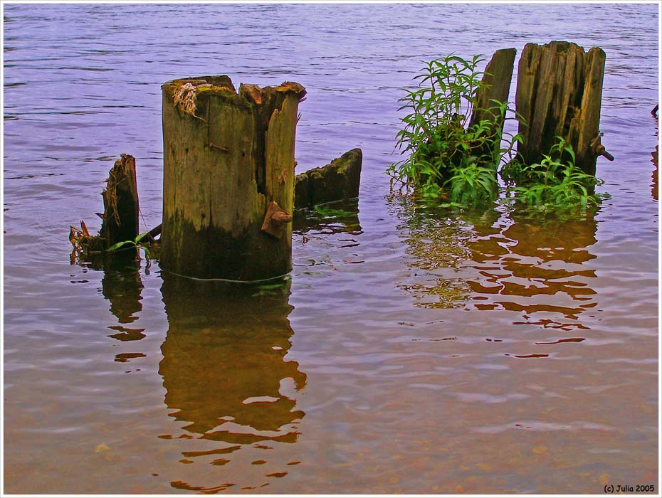 фото "граница" метки: пейзаж, вода