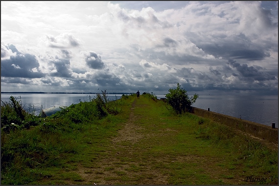 photo "...long way..." tags: nature, montage, 