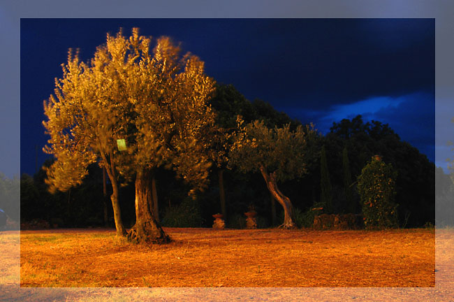 photo "Tuscany. Night shot" tags: landscape, night