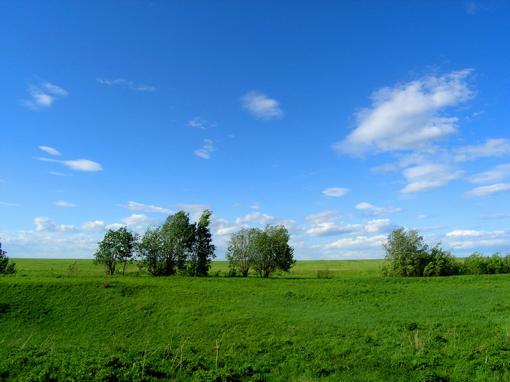 photo "Habitual landscape" tags: landscape, misc., summer