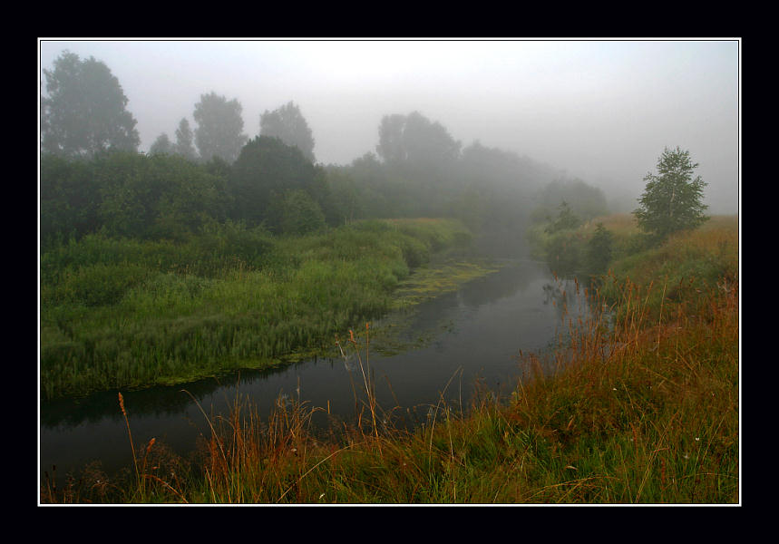 photo "Foggy perspective" tags: landscape, forest, water