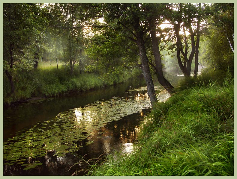 photo "Silence" tags: landscape, summer, water