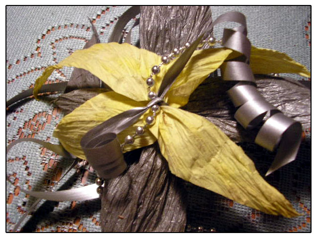 photo "a bow" tags: macro and close-up, abstract, 