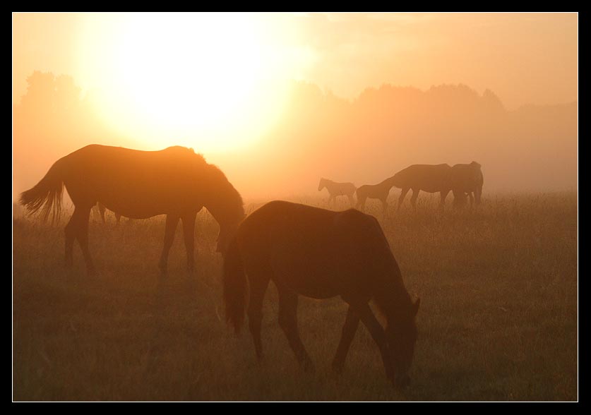 photo "Meeting new day" tags: landscape, sunset