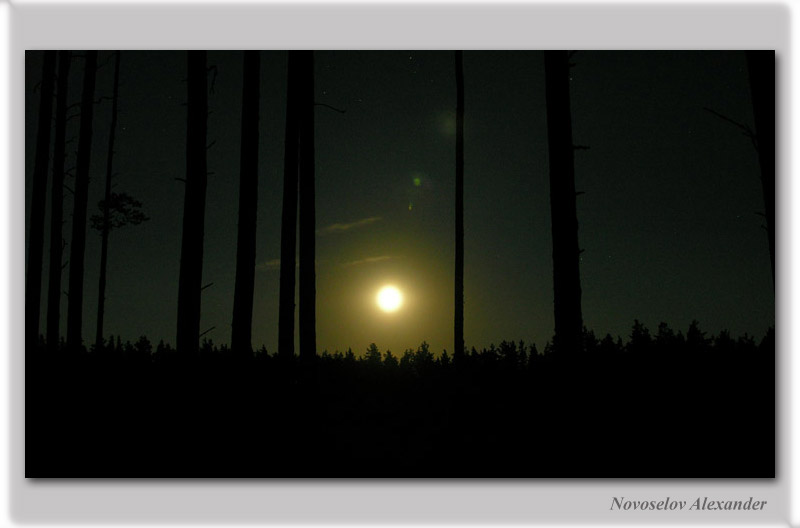 photo "Full moon" tags: landscape, night