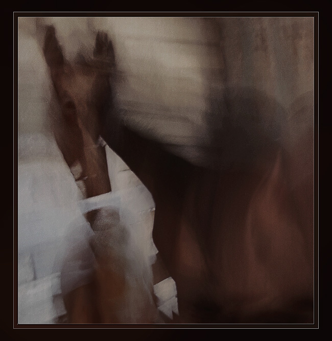 photo "***" tags: misc., 