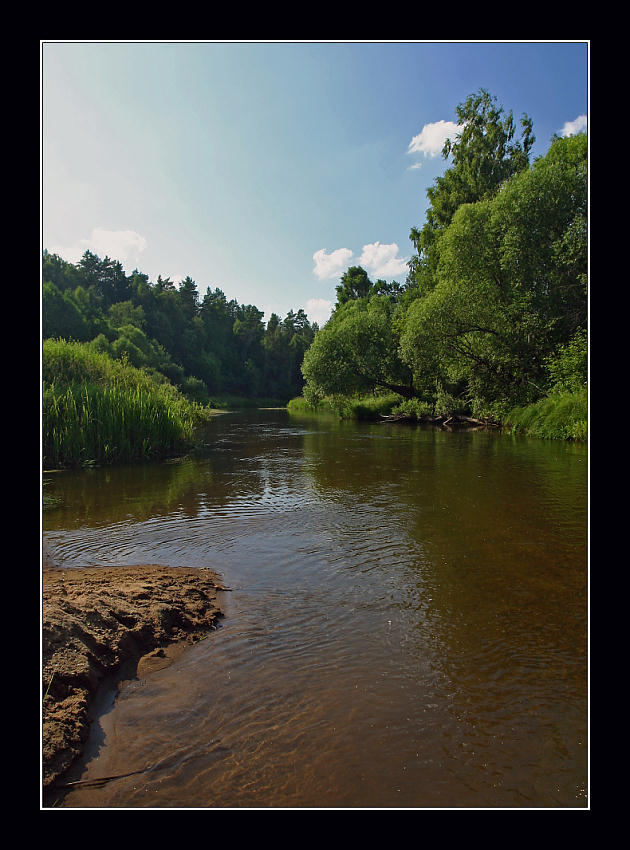 photo "Heat and cool" tags: landscape, forest, water