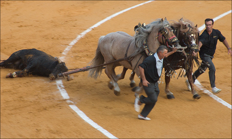 photo "Corrida. The End." tags: travel, genre, Europe