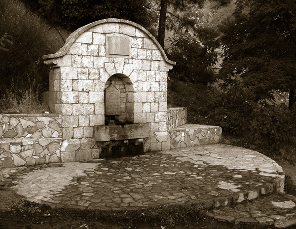 photo "Mountain Spring" tags: landscape, forest
