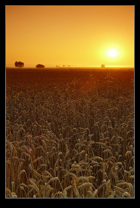 photo "Stand up Time" tags: landscape, summer, sunset