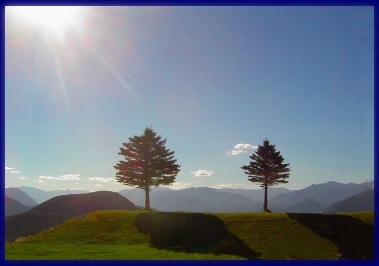 photo "for who loves silence..." tags: landscape, nature, flowers, mountains