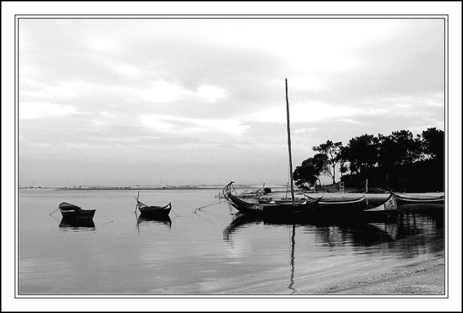 photo "Boats in B/W" tags: black&white, landscape, water