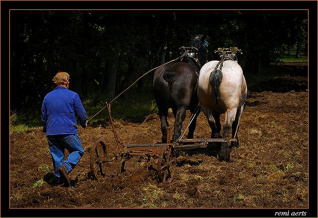 photo "farmer" tags: landscape, nature, 