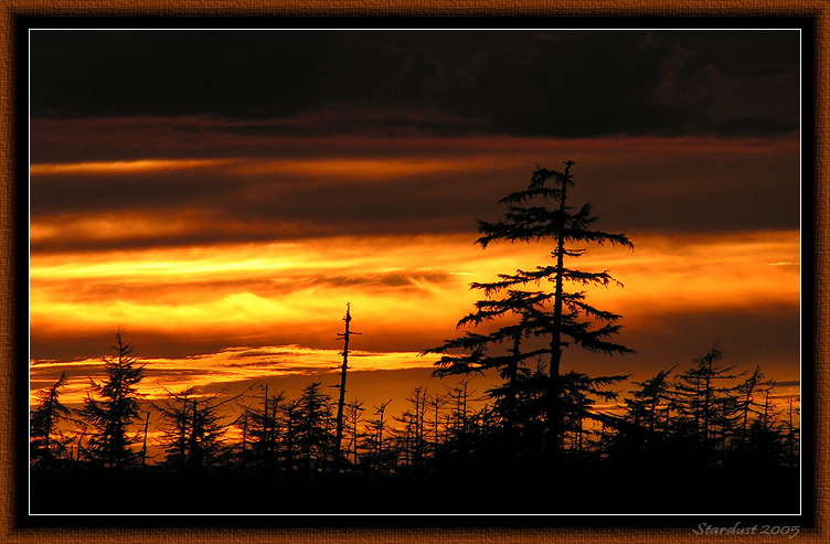 photo "The Gold of the Sky (Chayvo Sunset 18 Aug 2005)" tags: landscape, sunset