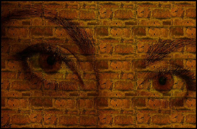 photo "the look.." tags: portrait, montage, 