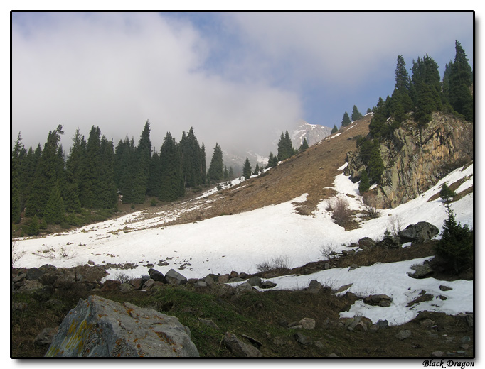 photo "Almaty (2005) - Alatau #3" tags: landscape, travel, Asia, mountains