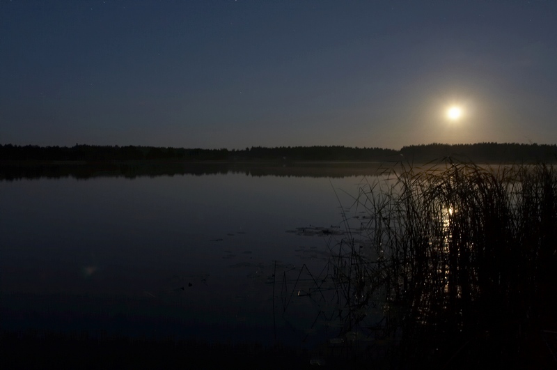 photo "The night sun" tags: landscape, summer