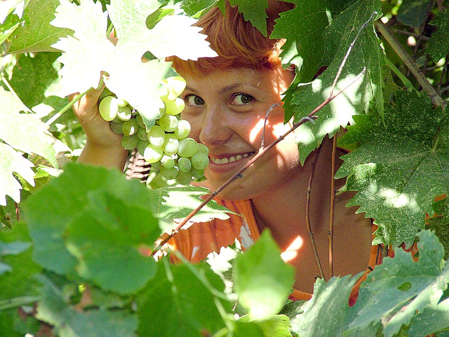 photo "Cleaning of grapes" tags: portrait, woman