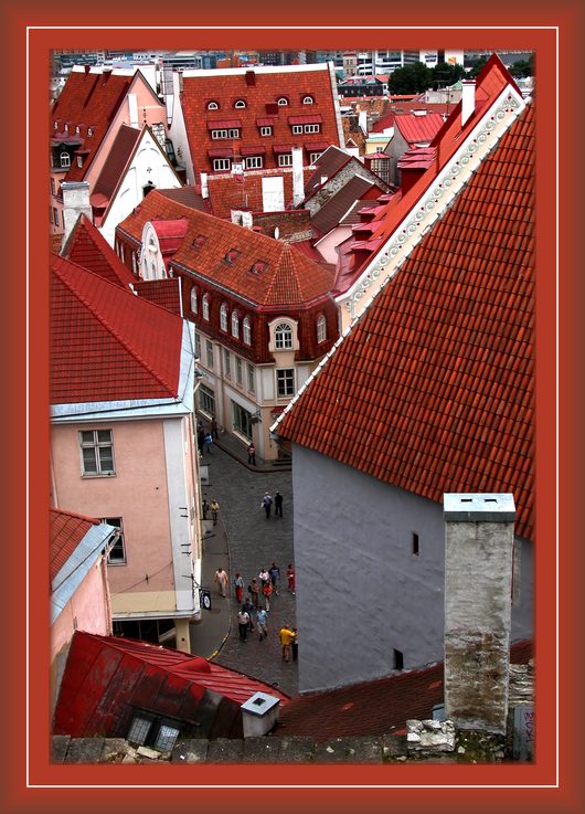 фото "Roofs of Tallinn" метки: путешествия, архитектура, пейзаж, Европа