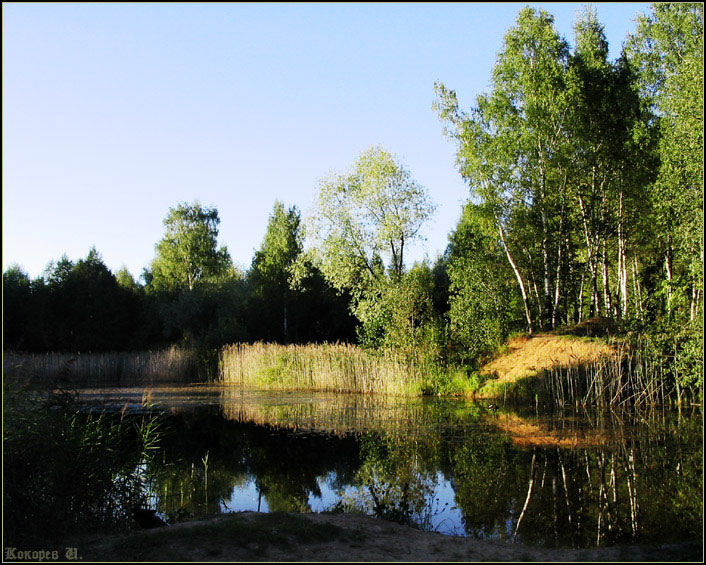 фото "Лето" метки: пейзаж, вода, лес