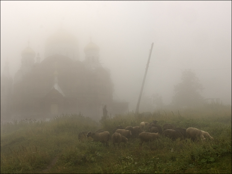 фото "Добрый пастырь" метки: пейзаж, лето