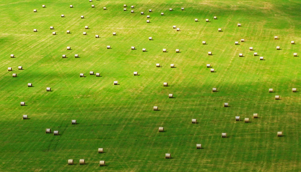 photo "Rolls on field II" tags: landscape, abstract, summer