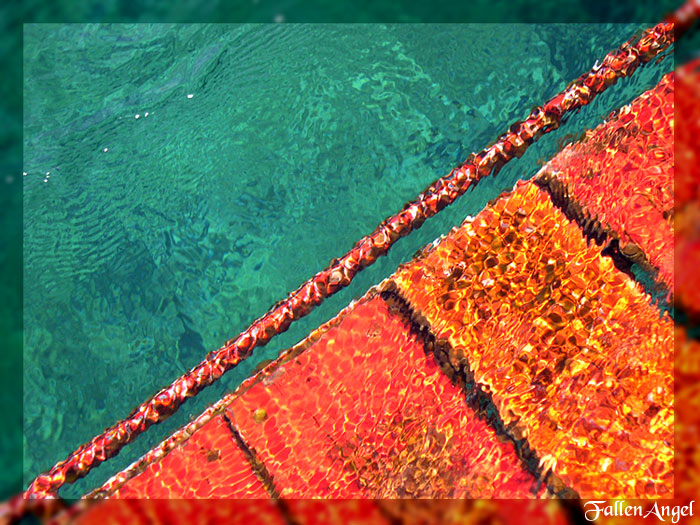 photo "red n green" tags: abstract, underwater, 