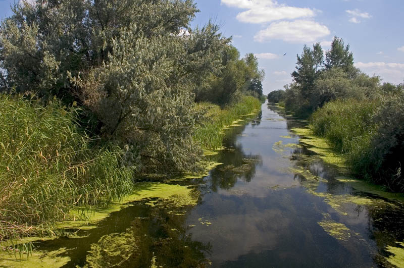 фото "zhivaya voda" метки: пейзаж, вода