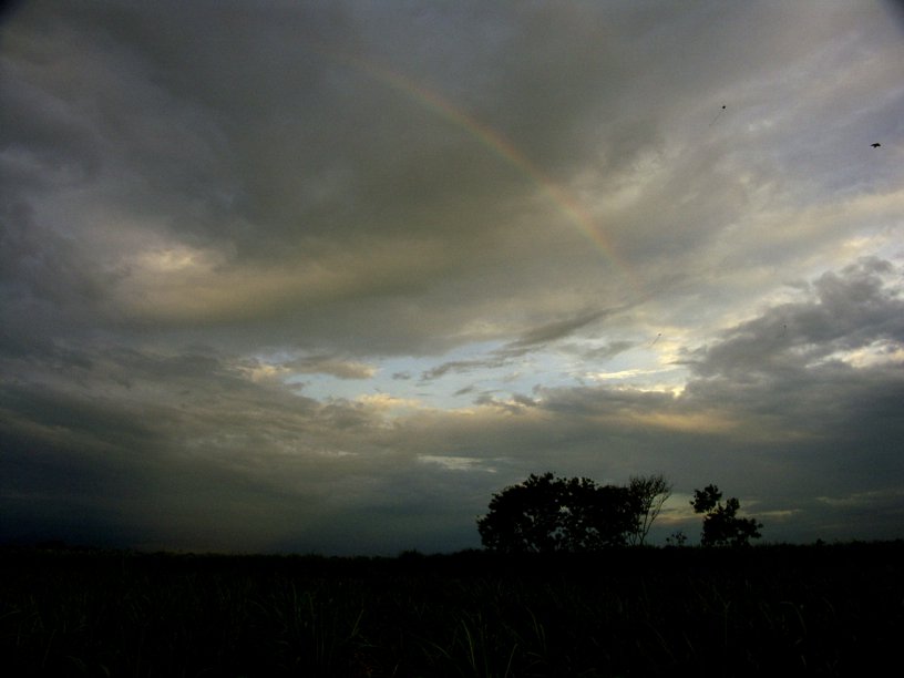 photo "Paper Birds and Rainbow" tags: landscape, misc., 