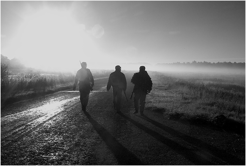 photo "Morning hunting" tags: black&white, 