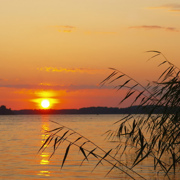 photo "Evening on Vuoksa" tags: landscape, sunset