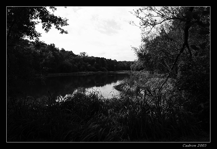 photo "Есть в старом парке пруд..." tags: landscape, black&white, water