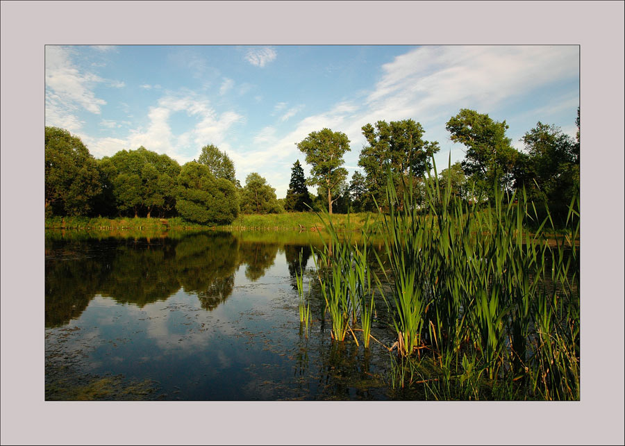 photo "Untitled photo" tags: landscape, clouds, summer