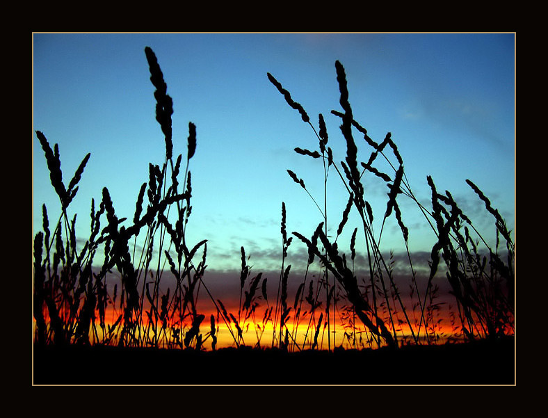 фото "untitled" метки: пейзаж, закат