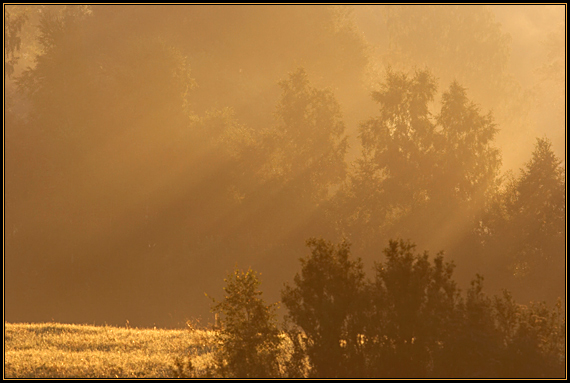 фото "Про утро, туман и лучи солнца..." метки: пейзаж, природа, закат
