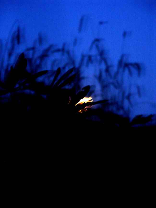 photo "Dream in summer night" tags: abstract, 