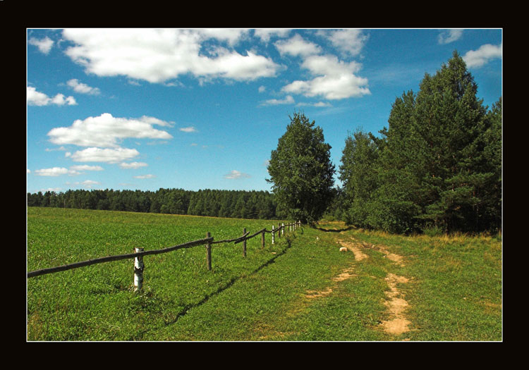 photo "Road" tags: nature, landscape, forest